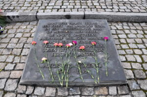 80 Anos da Libertação de Auschwitz e 20 Anos do Dia Internacional da Lembrança do Holocausto: Uma Jornada de Memória e Reflexão